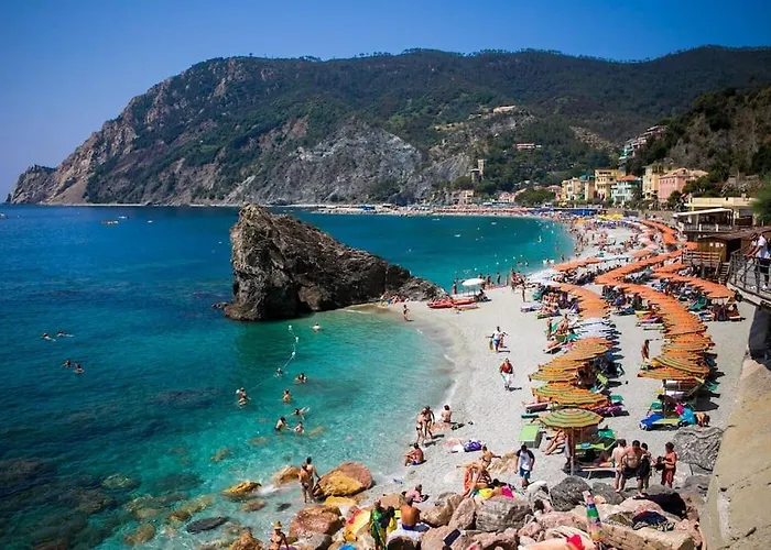 Sunny And Lovely - Free Wifi